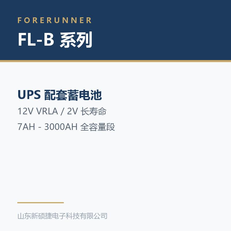 FL-B 系列 12V 阀控式铅酸蓄电池(枣庄市UPS电源)