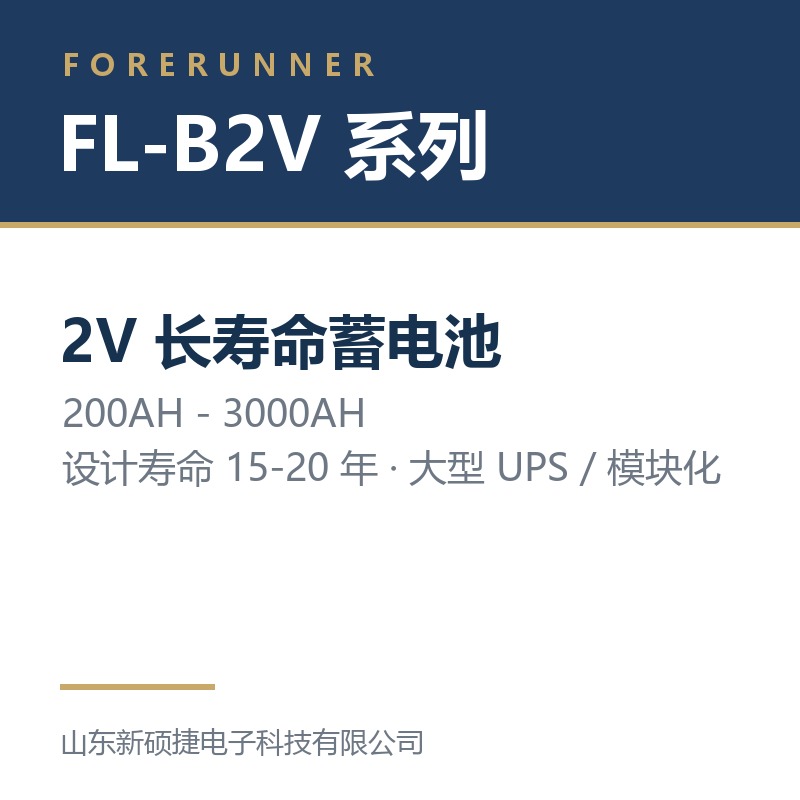 FL-B2V 系列 2V 长寿命蓄电池（枣庄市UPS电源）